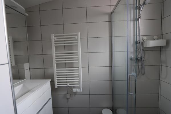 Maison meublée en duplex de 36m² - La Chapelle Saint Mesmin - rénovée