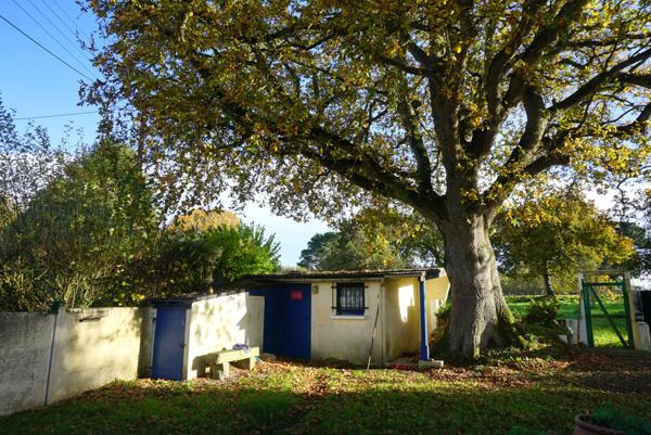 Plouha (22580) Maison située au calme à Plouha