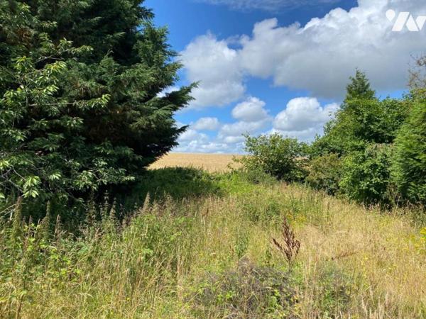 VILLEDIEU LES POELES