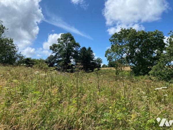 VILLEDIEU LES POELES