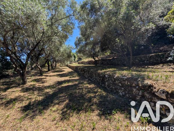 Terrain à vendre 1 049 m² Grasse
