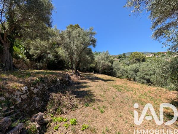 Terrain à vendre 1 049 m² Grasse