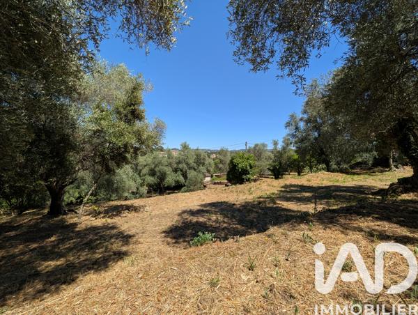 Terrain à vendre 1 049 m² Grasse