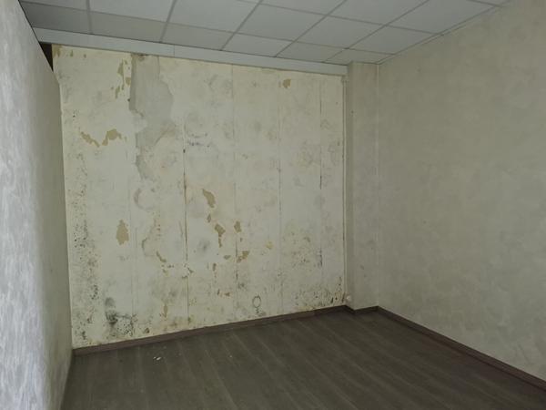 POTENTIEL EXCEPTIONNEL : Plateau de 460 m²  sur sous-sol