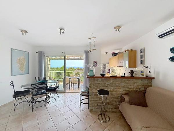 Vente                                                      Appartement
                        
                     3 pièces                      48 m2                     à Lumio