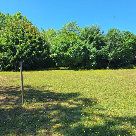 Lormont Terrain arboré 741 m² , lormont Lormont Terrain arboré 741 m² , lormont
