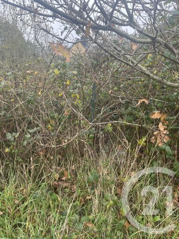 Terrain à vendre  645 m2 PLOUHA - 22
