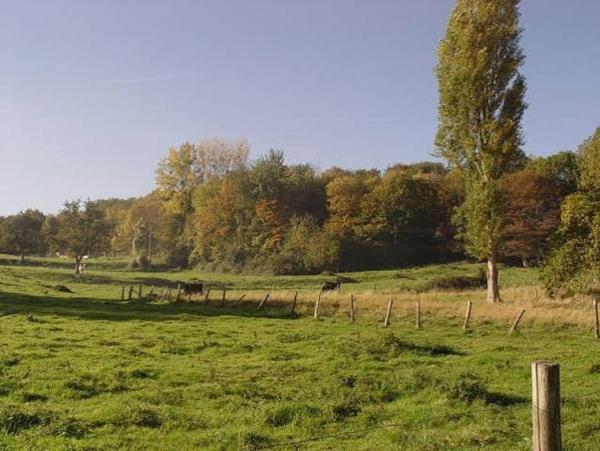 Thiescourt -  Grand Terrain à bâtir de 2095 m2