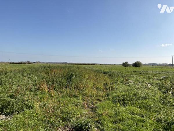 ST HILAIRE DE RIEZ, propriété de presque 6ha, maison de 214m² env. et dépendances, 2 puits !