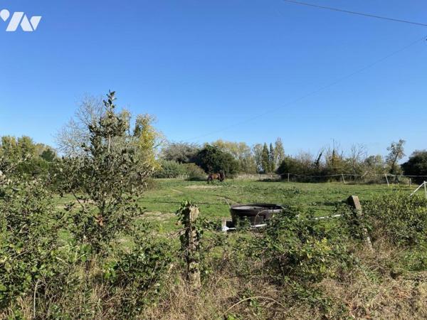 ST HILAIRE DE RIEZ, propriété de presque 6ha, maison de 214m² env. et dépendances, 2 puits !