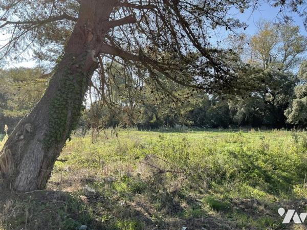 ST HILAIRE DE RIEZ, propriété de presque 6ha, maison de 214m² env. et dépendances, 2 puits !