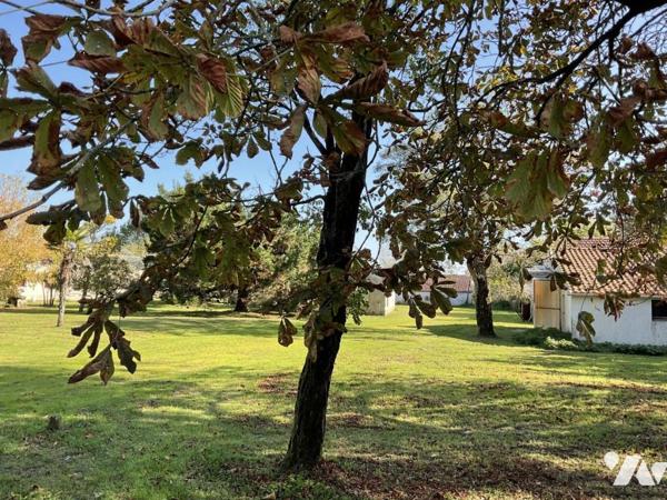 ST HILAIRE DE RIEZ, propriété de presque 6ha, maison de 214m² env. et dépendances, 2 puits !