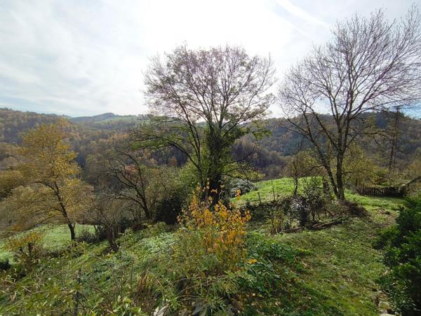 Charmante maison individuelle en pierre – 75 m² – Environnement calme et verdoyant