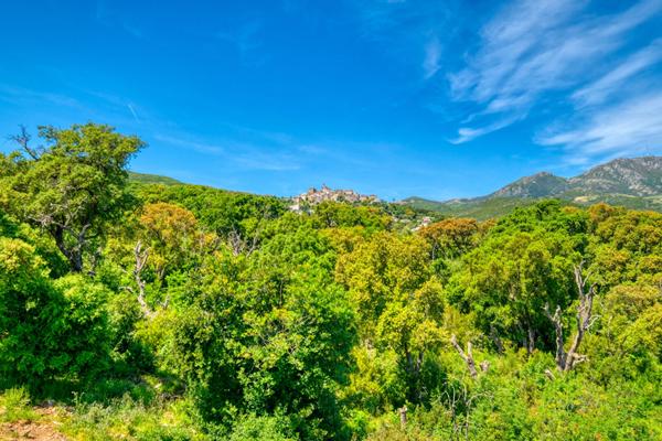 Vente Maison 9 pièces avec piscine et vue mer Furiani