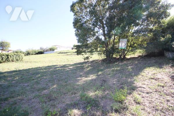 Auribeau, secteur  la BOURLINE . Terrain constructible de 2757 m² .