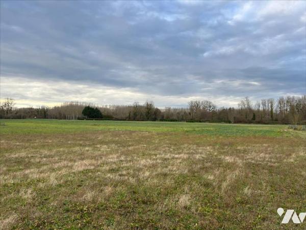 DISSAY - TERRAIN ABATIR - 3700 M²