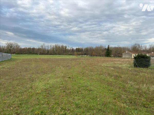 DISSAY - TERRAIN ABATIR - 3700 M²