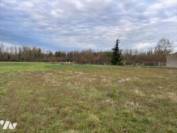 DISSAY - TERRAIN ABATIR - 3700 M²