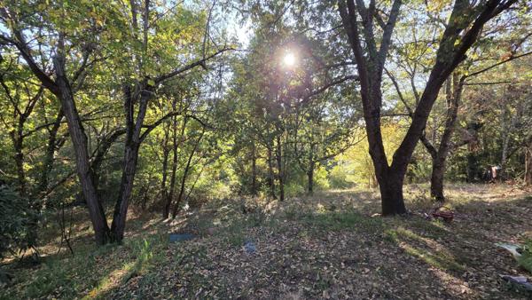 Maison au fau Montauban (82) - 160 m2 , 4 chambres , jardin