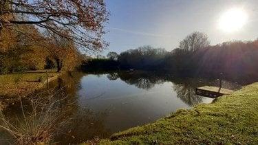 Terrain de loisirs - Bois - Etang à vendre à Saint-Aubin-d'Aubigné en Ille-et-Vilaine (35250), ref :