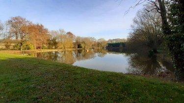 Terrain de loisirs - Bois - Etang à vendre à Saint-Aubin-d'Aubigné en Ille-et-Vilaine (35250), ref :