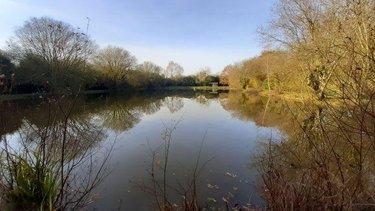 Terrain de loisirs - Bois - Etang à vendre à Saint-Aubin-d'Aubigné en Ille-et-Vilaine (35250), ref :