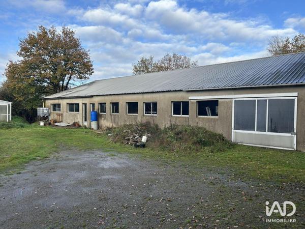 Local d’activité à vendre 400 m² Mauves-sur-Loire