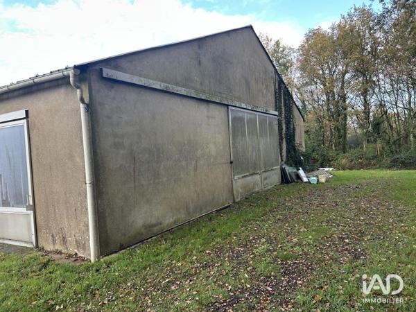 Local d’activité à vendre 400 m² Mauves-sur-Loire