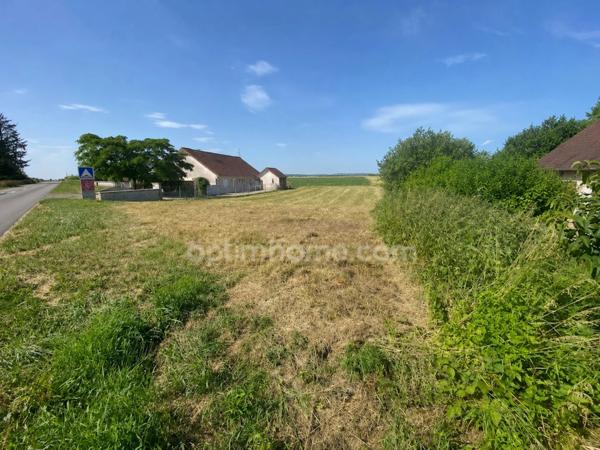 Terrain à vendre   (39)