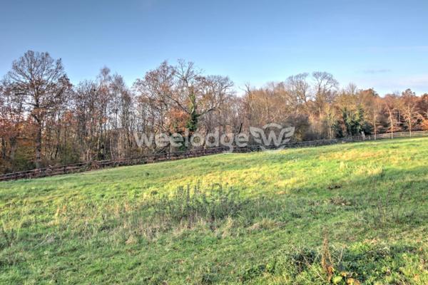 Maison à vendre 14 pièces de 400 m² à Livarot-Pays-d'Auge