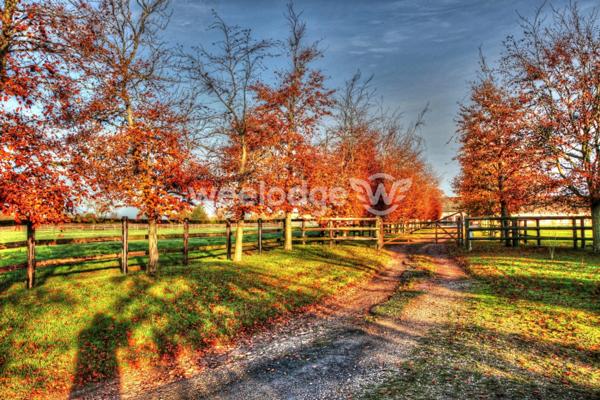 Maison à vendre 14 pièces de 400 m² à Livarot-Pays-d'Auge