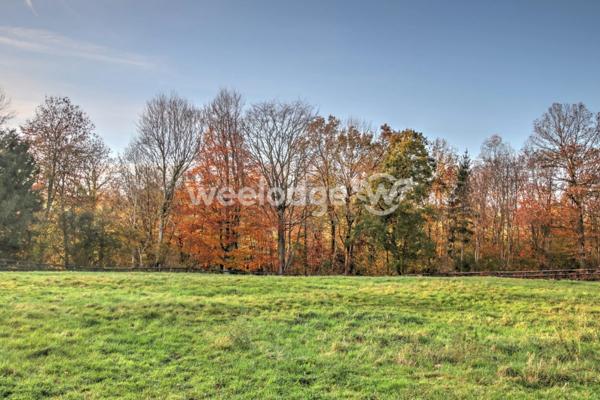 Maison à vendre 14 pièces de 400 m² à Livarot-Pays-d'Auge