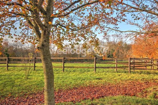 Maison à vendre 14 pièces de 400 m² à Livarot-Pays-d'Auge