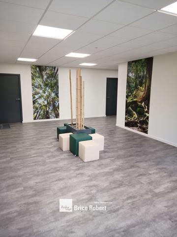 Bureaux à vendre à Lyon 9ème lumineux climatisation neuve Les Nymphéas