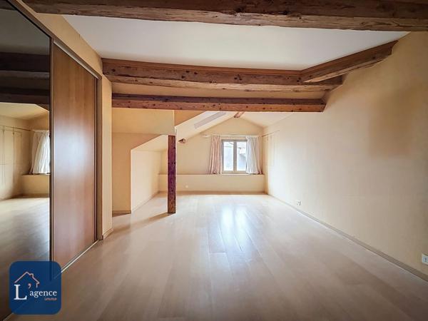 Appartement T7 atypique 192 m² – Dernier étage – Résidence de caractère XVIIᵉ siècle – Vue Alpes – Cheminée – Grands volumes – Centre-ville – Gex 01170