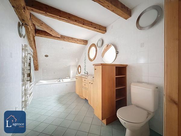 Appartement T7 atypique 192 m² – Dernier étage – Résidence de caractère XVIIᵉ siècle – Vue Alpes – Cheminée – Grands volumes – Centre-ville – Gex 01170