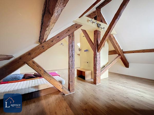 Appartement T7 atypique 192 m² – Dernier étage – Résidence de caractère XVIIᵉ siècle – Vue Alpes – Cheminée – Grands volumes – Centre-ville – Gex 01170