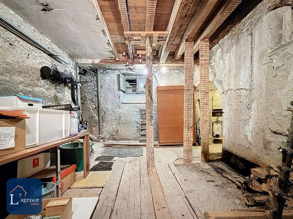 Appartement T7 atypique 192 m² – Dernier étage – Résidence de caractère XVIIᵉ siècle – Vue Alpes – Cheminée – Grands volumes – Centre-ville – Gex 01170