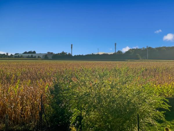 Maison P6 à vendre, 6 pièces a vendre- NEAUPHLE LE CHATEAU (78640)