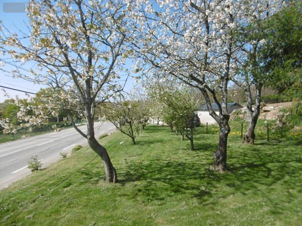 Maison à vendre à Bion dans la Manche (50140), ref : 14076-5755