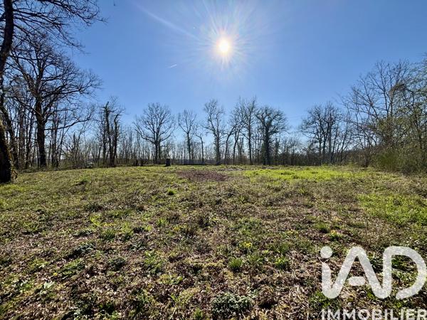 Terrain à vendre 7 404 m² Paulin
