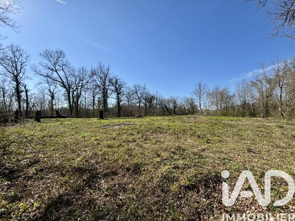 Terrain à vendre 7 404 m² Paulin