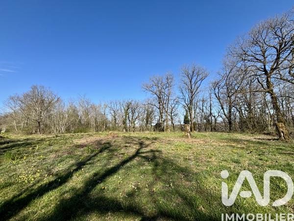 Terrain à vendre 7 404 m² Paulin