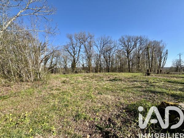 Terrain à vendre 7 404 m² Paulin