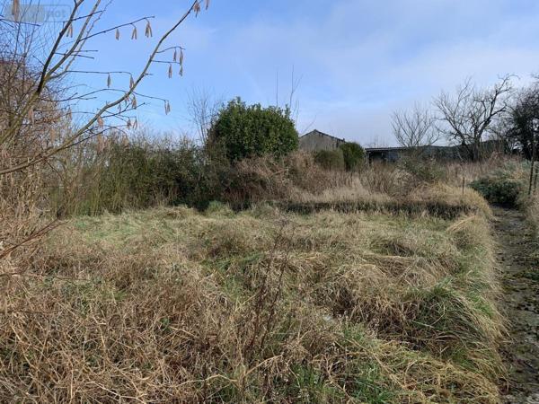 Maison à vendre à Prouilly dans la Marne (51140), ref : 51082-2467