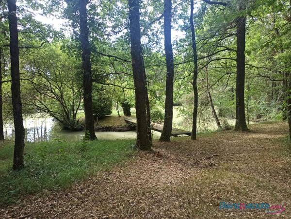 Très rare Terrain et parc de loisirs