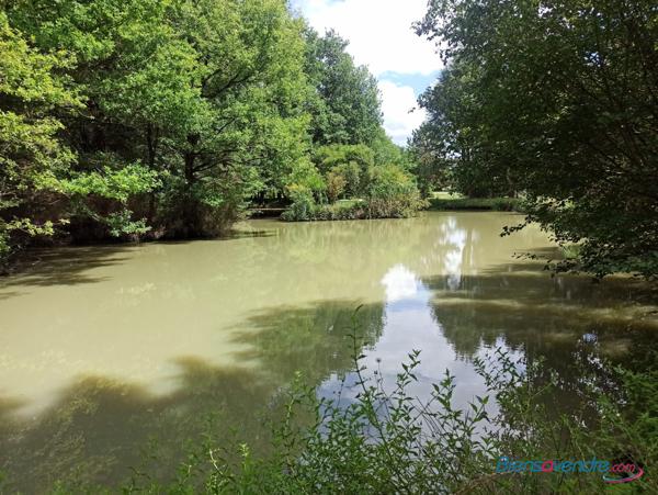 Très rare Terrain et parc de loisirs