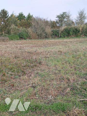 BILLIERS - Terrain à bâtir 671m²