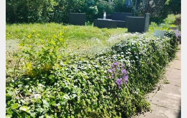 Vente Maison Poss/3 apparts Forbach   