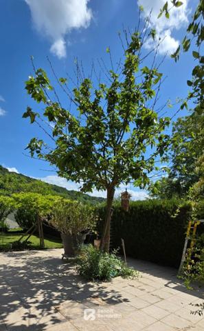 Maison familiale au calme, entre nature et lumière